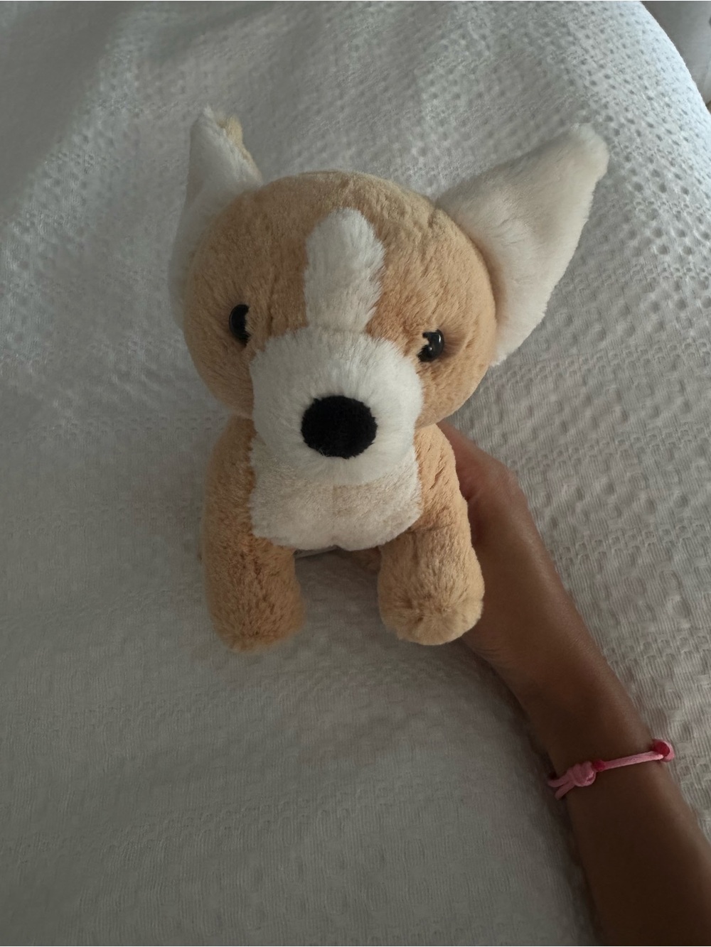 Jellycat - Tan and White Corgi Stuffed Animal